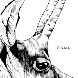 G.A.M.S.