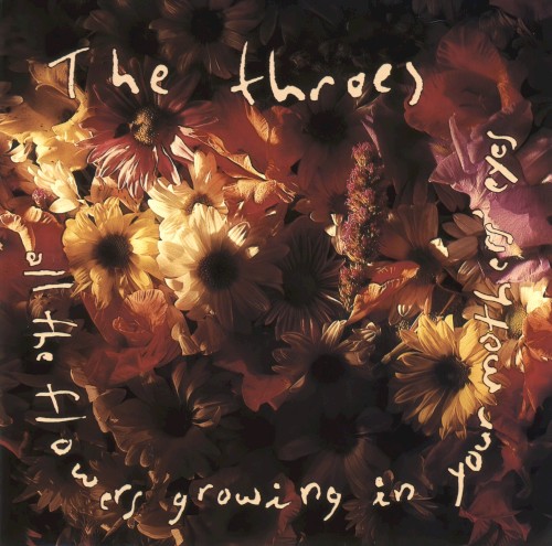 All the Flowers Growing in Your Mother's Eyes