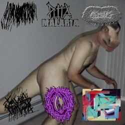 6 Way Split
