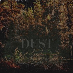 Dust