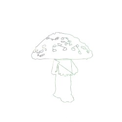 The Geometry of a Mushroom