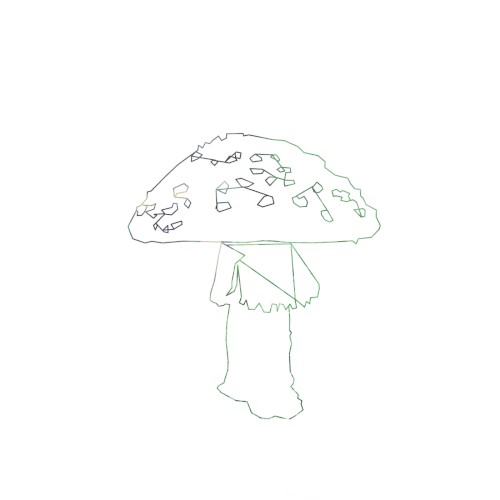 The Geometry of a Mushroom