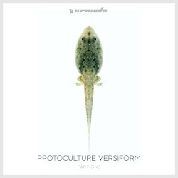 Versiform Part One