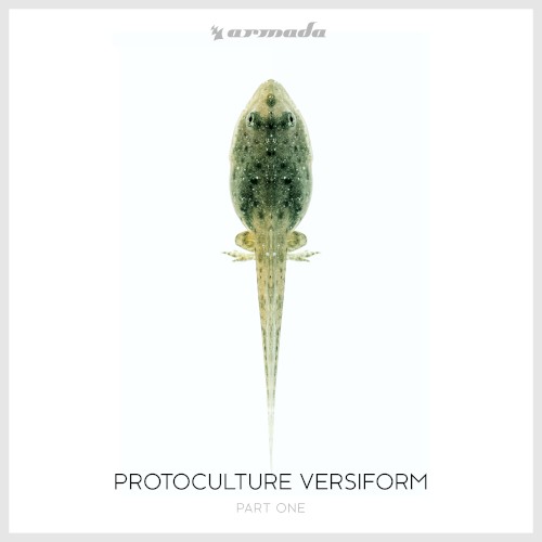 Versiform Part One