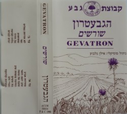 שורשים