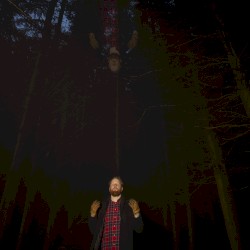 The Small Tree