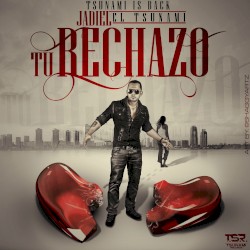 Tu rechazo