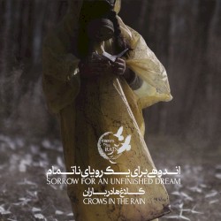 Sorrow for an Unfinished Dream