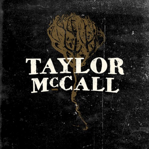 Taylor McCall
