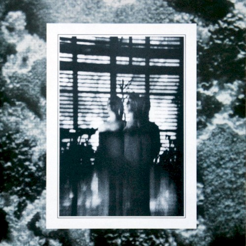 The "Caos EP" Taxidermy Album