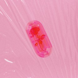 片依存