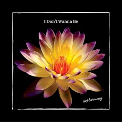 I Don't Wanna Be