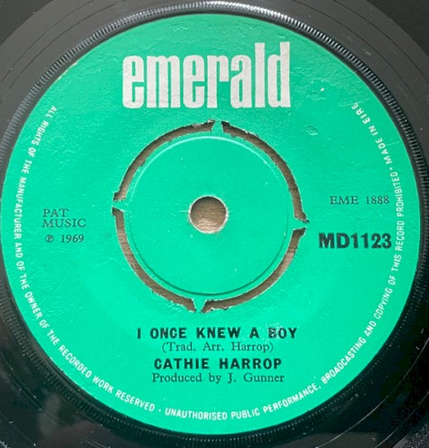 I Once Knew a Boy