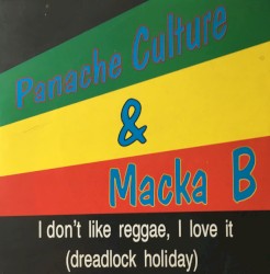 I Don't Like Reggae, I Love It