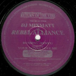 Your Gonna Love Me / Rushing (Remix)