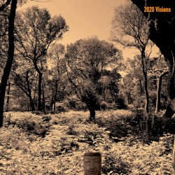 2020 Visions (The Tear Garden Anthology Part 3 - 2000 to 2020)