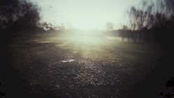 modd retinate