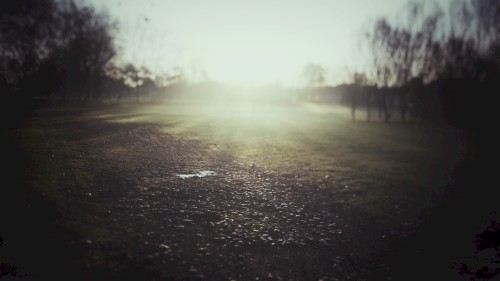 modd retinate