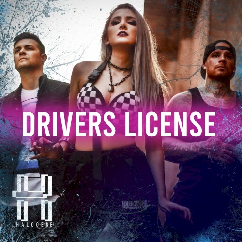 Drivers License