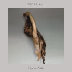 Yine de Amin