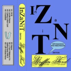 InZaNiT demos