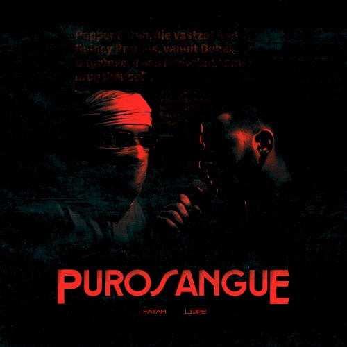 Purosangue