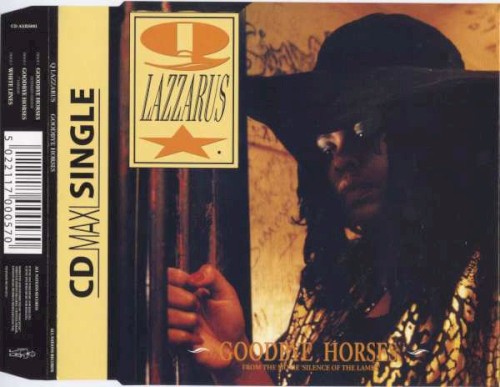 Goodbye Horses