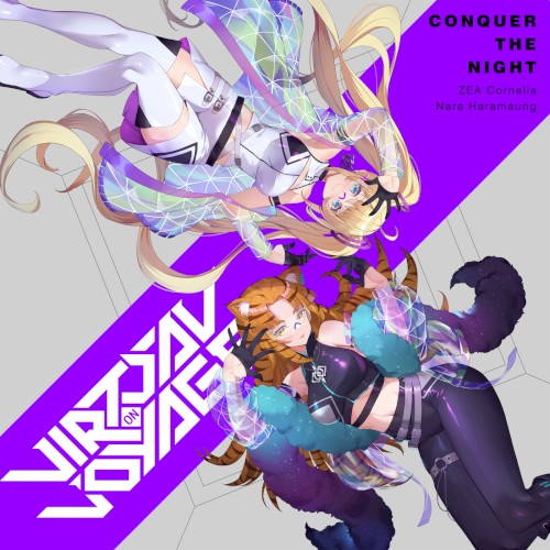 Conquer The Night