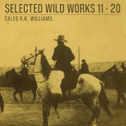 Selected Wild Works 11–20