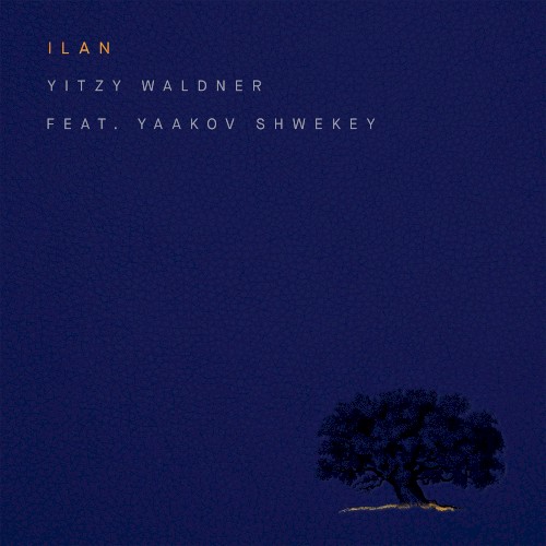 Ilan