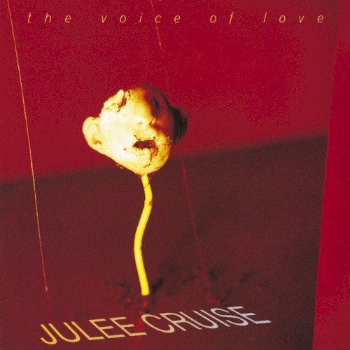 The Voice of Love