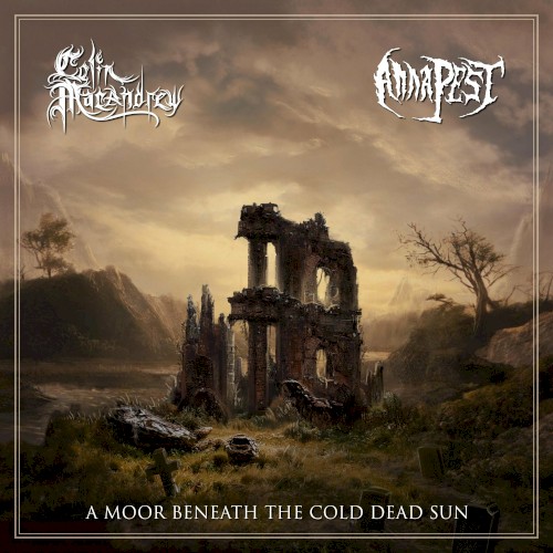 A Moor Beneath the Cold Dead Sun