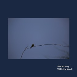 Within the March