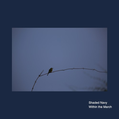 Within the March