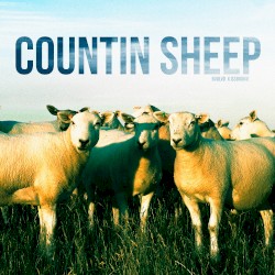 COUNTIN' SHEEP