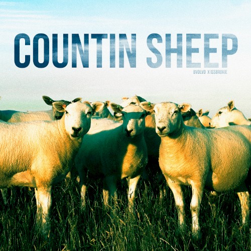 COUNTIN' SHEEP