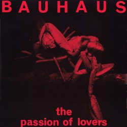 The Passion of Lovers