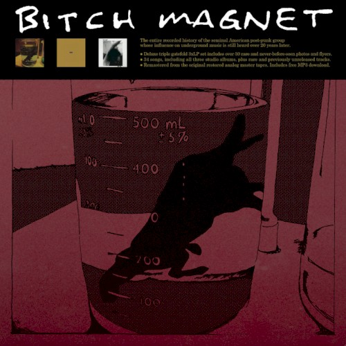 Bitch Magnet