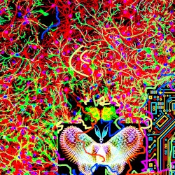 Chaos and Transformation