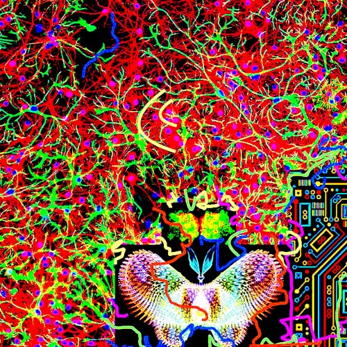 Chaos and Transformation