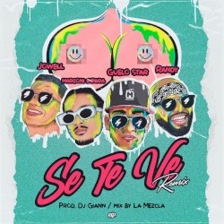 Se te ve (remix)