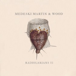 Radiolarians II