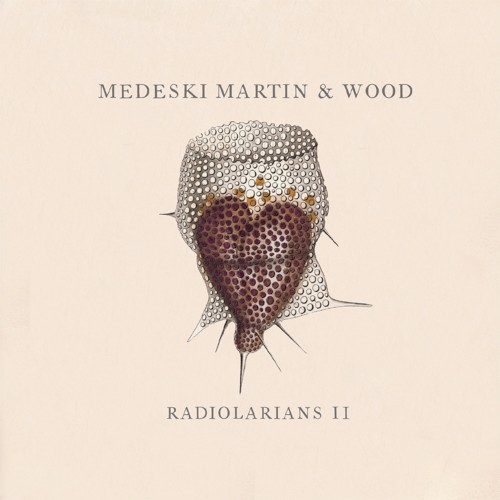 Radiolarians II