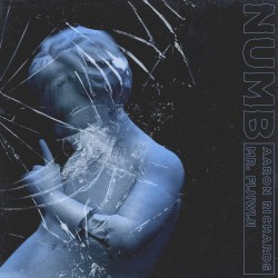 Numb (Mr FijiWiji remix)