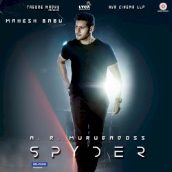 Spyder