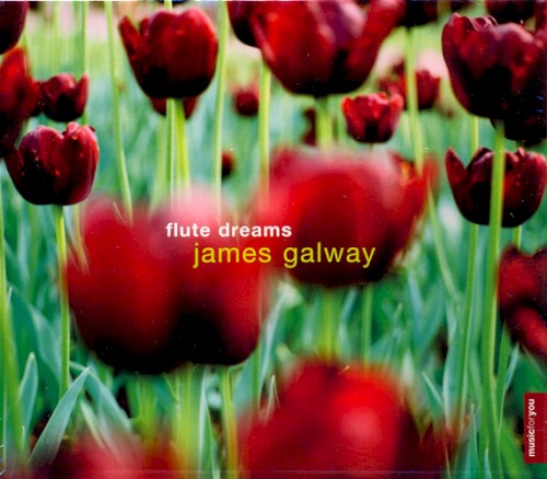 Flute Dreams