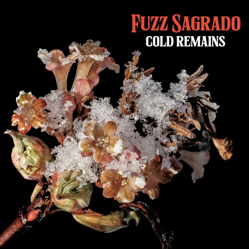 Cold Remains