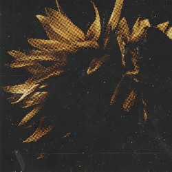 Endless Circles / Pathways To Emotional Arrest
