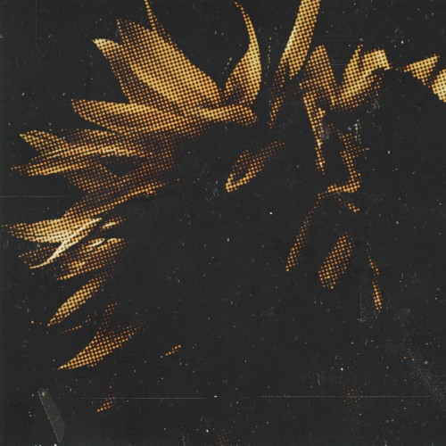 Endless Circles / Pathways To Emotional Arrest