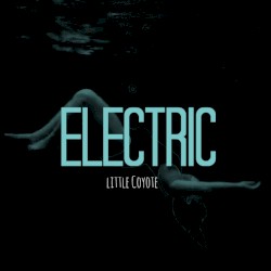 Electric